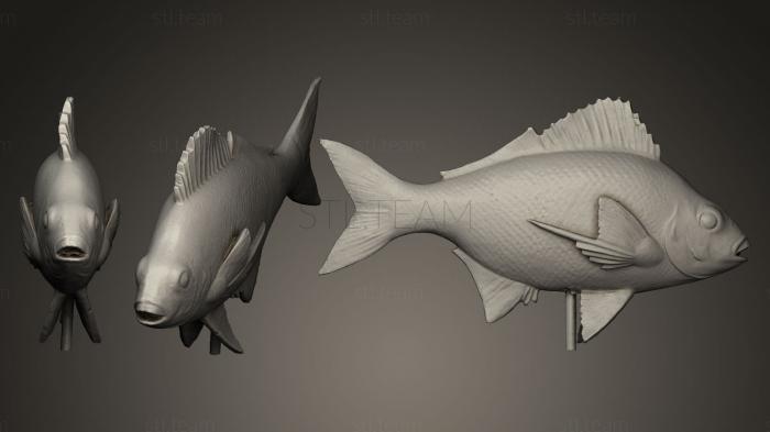 3D модель Серебряная рыба (STL)